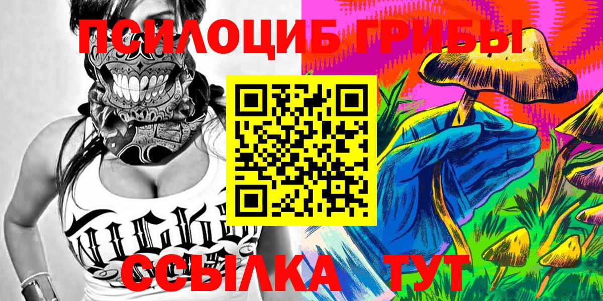 Сыктывкар  Псилоцибиновые грибы Cubensis  Вход с VPN 